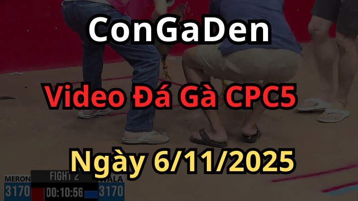 Full clip Đá Gà Trực Tiếp Thomo CPC5 ngày 6/11/2025
